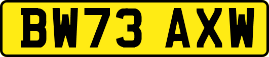 BW73AXW