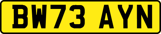 BW73AYN