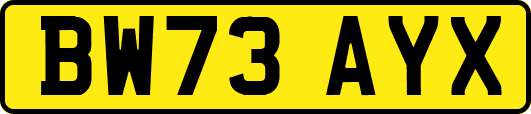 BW73AYX