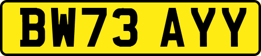 BW73AYY