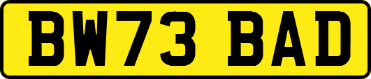 BW73BAD
