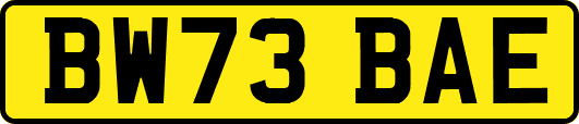 BW73BAE