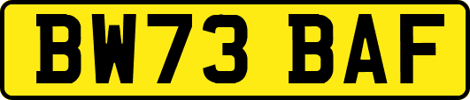BW73BAF