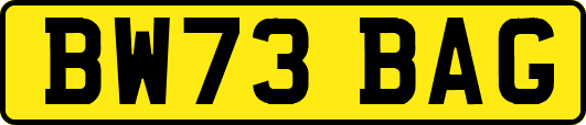BW73BAG