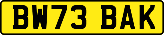 BW73BAK