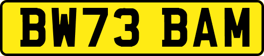BW73BAM