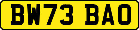 BW73BAO