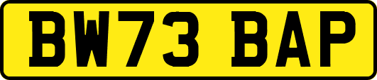 BW73BAP