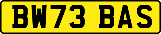 BW73BAS