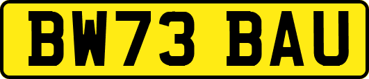 BW73BAU