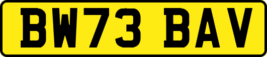 BW73BAV