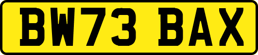 BW73BAX