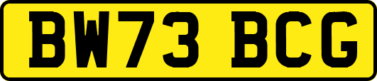 BW73BCG
