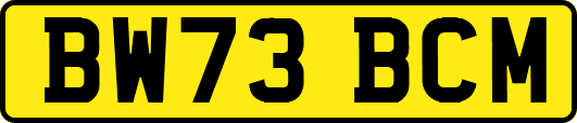 BW73BCM