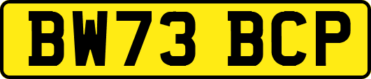 BW73BCP
