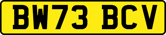 BW73BCV