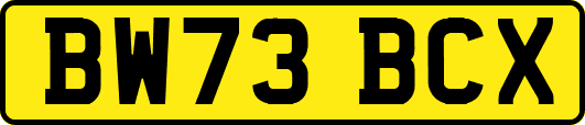 BW73BCX