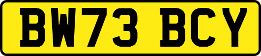 BW73BCY