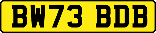 BW73BDB