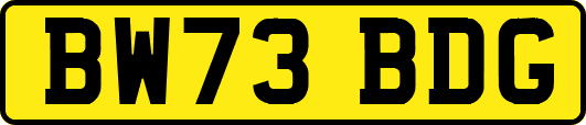 BW73BDG