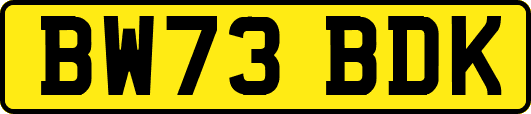 BW73BDK
