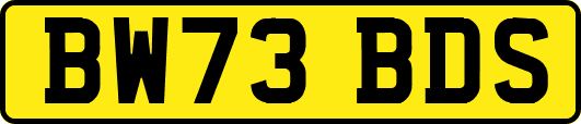 BW73BDS