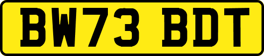 BW73BDT