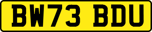 BW73BDU