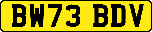BW73BDV