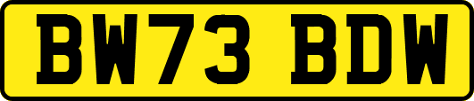 BW73BDW