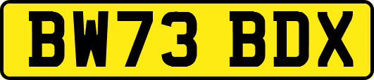 BW73BDX