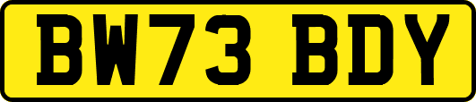 BW73BDY