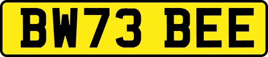BW73BEE