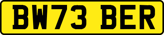 BW73BER