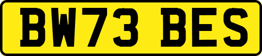 BW73BES