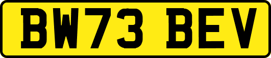 BW73BEV