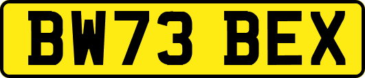 BW73BEX