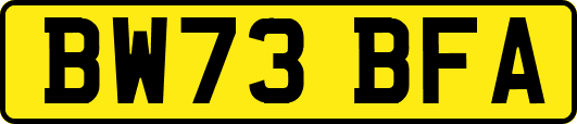 BW73BFA