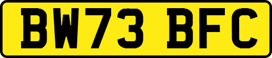 BW73BFC