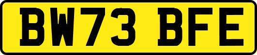 BW73BFE