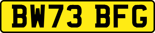 BW73BFG