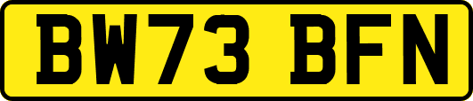 BW73BFN