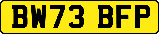 BW73BFP