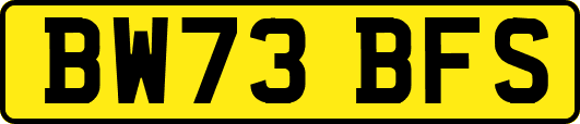 BW73BFS