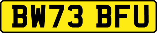 BW73BFU
