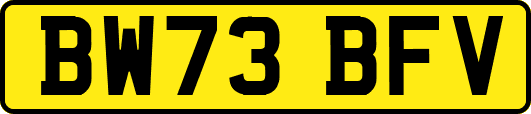 BW73BFV