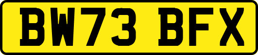 BW73BFX