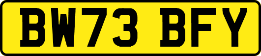 BW73BFY