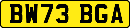 BW73BGA