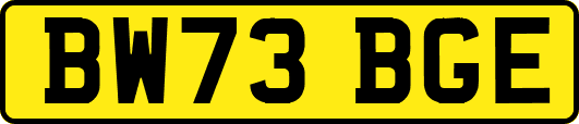 BW73BGE